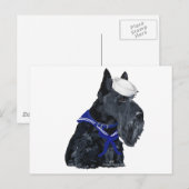 Carte Postale Terrier Écossais Marin (Devant / Derrière)
