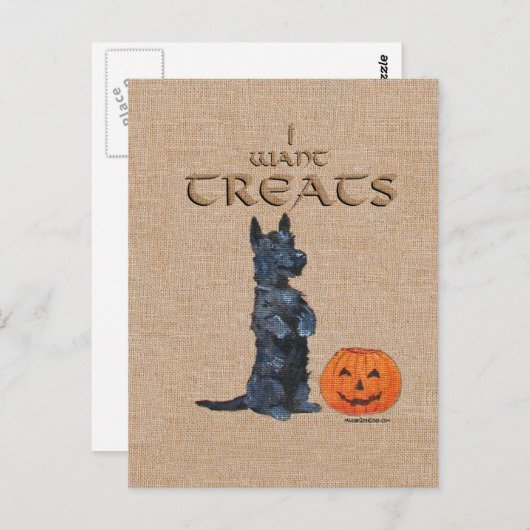 Carte Postale Terrier écossais s'assoit pour les cures ! (Devant / Derrière)