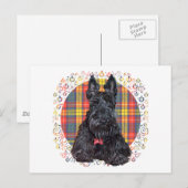 Carte Postale Térrier écossais sur plaid Buchanan (Devant / Derrière)