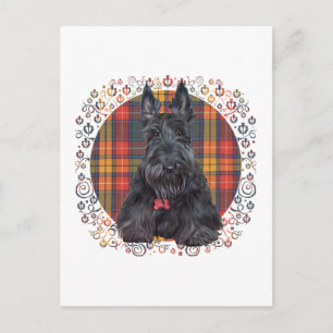 Carte Postale Terrier Écossais sur Tartan