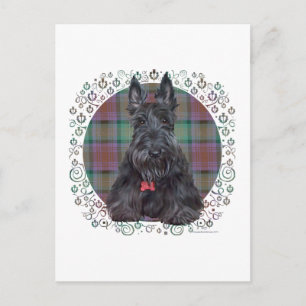 Carte Postale Terrier Écossais sur Tartan
