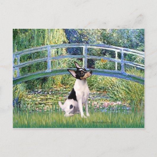 Carte Postale Terrier Fox Jouet - Pont (Devant)