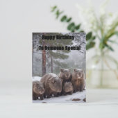 Carte Postale Terrier gelé : famille de wombats australiens, ann (Debout devant)