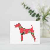 Carte Postale Terrier irlandais (Debout devant)