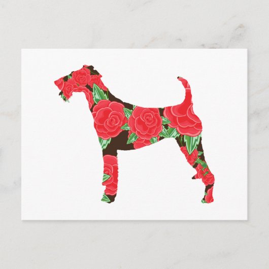 Carte Postale Terrier irlandais (Devant)