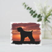 Carte Postale Terrier russe noir (Debout devant)