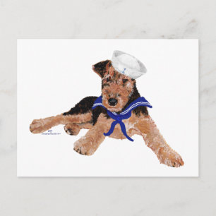 Carte Postale Térrier Sailor Boy