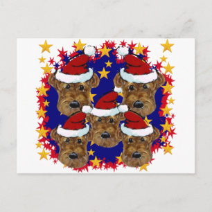 CARTE POSTALE TERRIERS AIRDALES