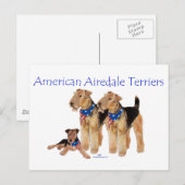 Carte Postale Térriers Airedale Drapeau Américain (Devant / Derrière)