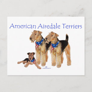 Carte Postale Térriers Airedale Drapeau Américain