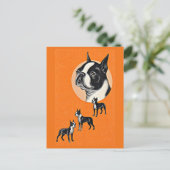 Carte Postale terriers de Boston (Debout devant)