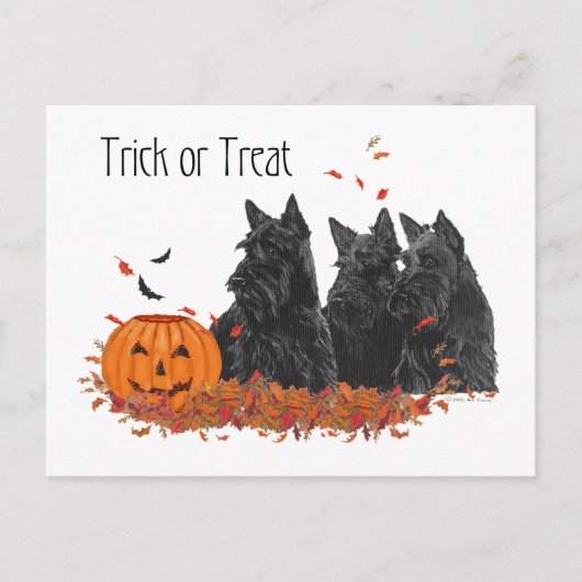 Carte Postale Terriers Écossais Halloween (Devant)