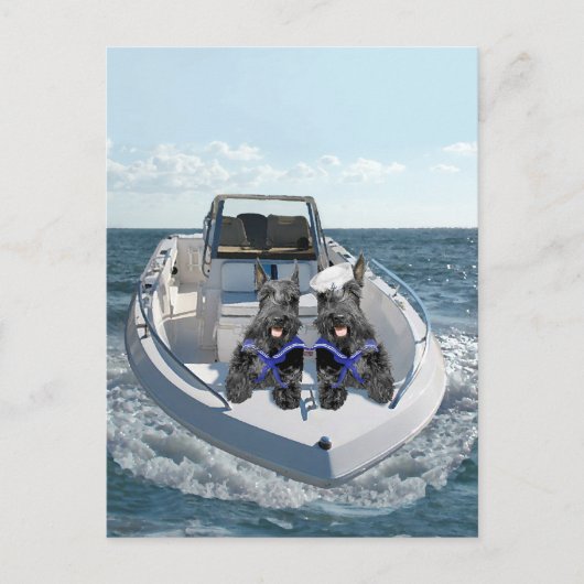 Carte Postale Terriers écossais sur le bateau (Devant)