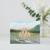 Carte Postale Terriers en Irlande (Debout devant)