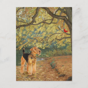 Carte Postale Tervueren Airedale en observation d'oiseaux