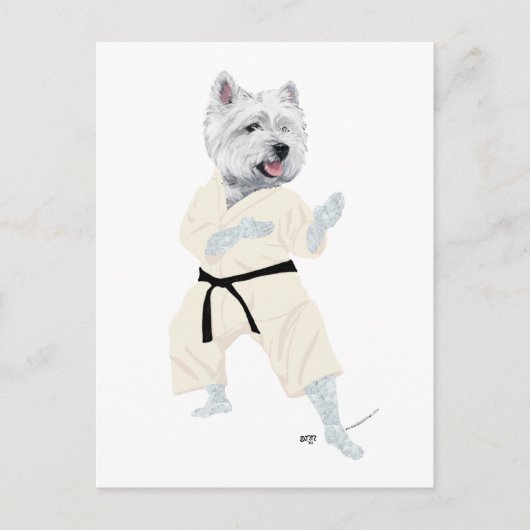 Carte Postale Tervueren Karate ! (Devant)