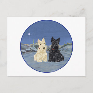 Carte Postale Tervueren & Scotties en hiver