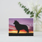Carte Postale Tervuren belge (Debout devant)