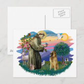 Carte Postale Tervuren belge (Devant / Derrière)