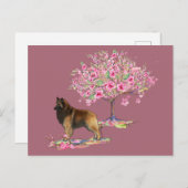 Carte Postale Tervuren belge (Devant / Derrière)