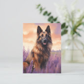 Carte Postale Tervuren belge dans le champ Lavender (Debout devant)