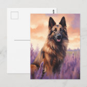 Carte Postale Tervuren belge dans le champ Lavender (Devant / Derrière)