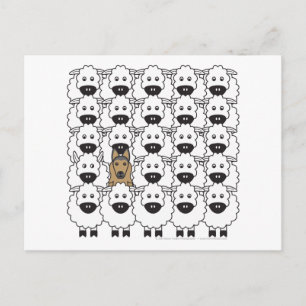 Carte Postale Tervuren belge dans le mouton