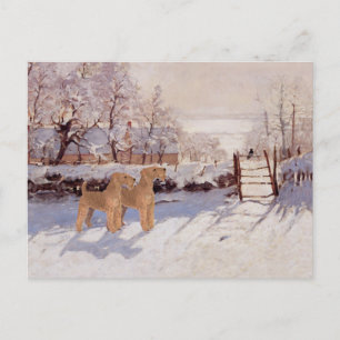 Carte Postale Tervures irlandais en hiver