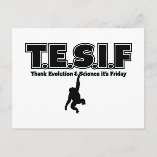 CARTE POSTALE TESIF (Devant)