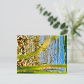 Carte Postale Test (Debout devant)
