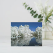 Carte postale test (Debout devant)