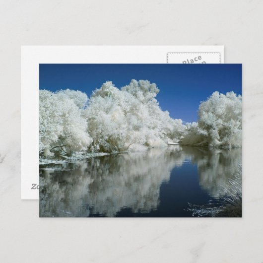 Carte postale test (Devant / Derrière)