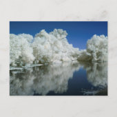 Carte postale test (Devant)