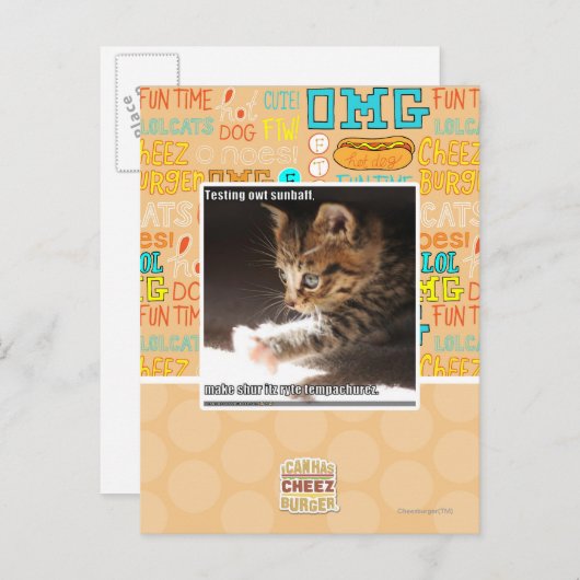 Carte Postale Test de owt sunbaff (Devant / Derrière)