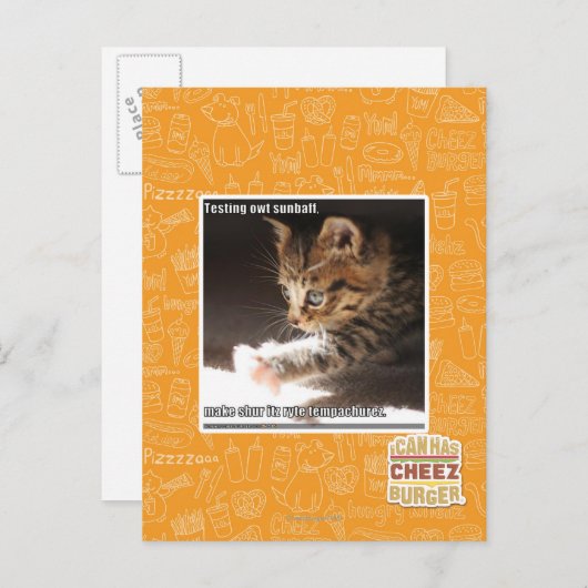 Carte Postale Test de owt sunbaff (Devant / Derrière)