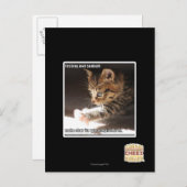 Carte Postale Test de owt sunbaff (Devant / Derrière)