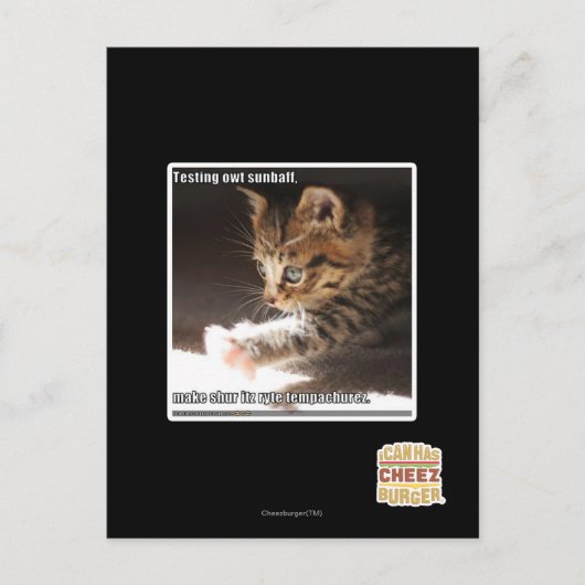 Carte Postale Test de owt sunbaff (Devant)