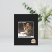 Carte Postale Test de owt sunbaff (Debout devant)