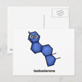Carte Postale Testostérone (Devant / Derrière)