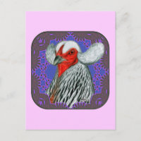 Tête Araucana encadrée