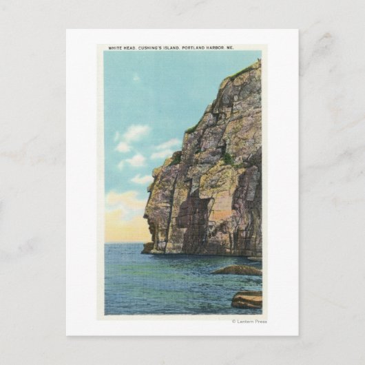 Carte Postale Tête blanche dans le port de Portland (Devant)