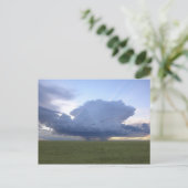 Carte Postale Tête bleue (Debout devant)