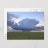 Carte Postale Tête bleue (Devant / Derrière)