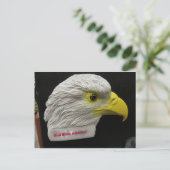 Carte Postale Tête d'aigle (Debout devant)