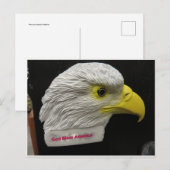 Carte Postale Tête d'aigle (Devant / Derrière)