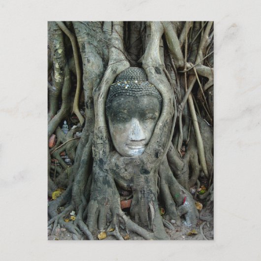 Carte Postale Tête de Bouddha (Devant)