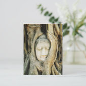 Carte Postale Tête de Bouddha dans le Fig Tree .. Ayutthaya, Tha (Debout devant)