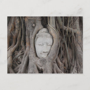 Carte Postale Tête de Bouddha en Thaïlande entourée d'arbres