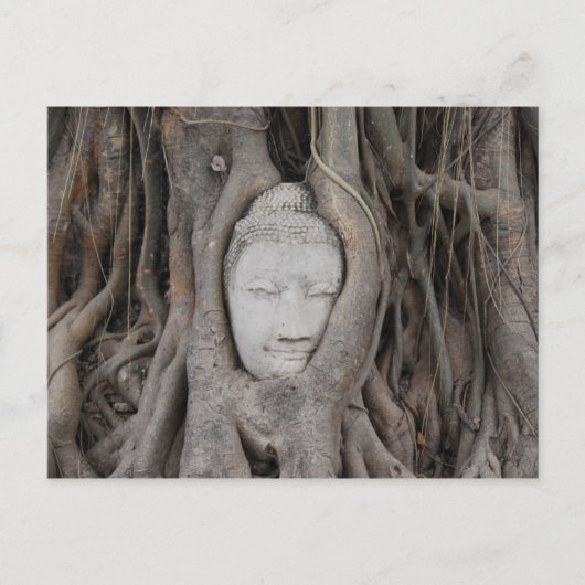 Carte Postale Tête de Bouddha en Thaïlande entourée d'arbres (Devant)