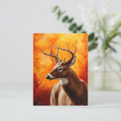 Carte Postale Tête de buck trophée de cerf de Virginie (Debout devant)